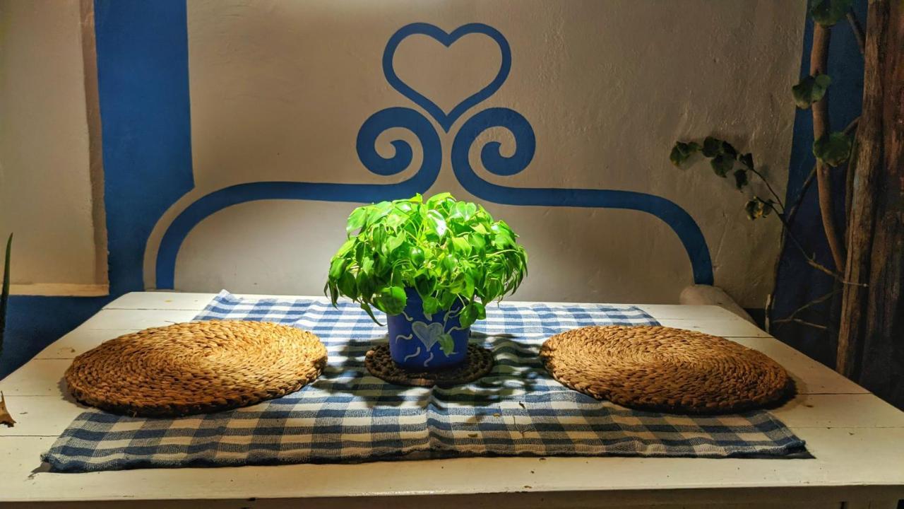 Pousada Casa Azul Do Piaui ルイース・コヘイア エクステリア 写真